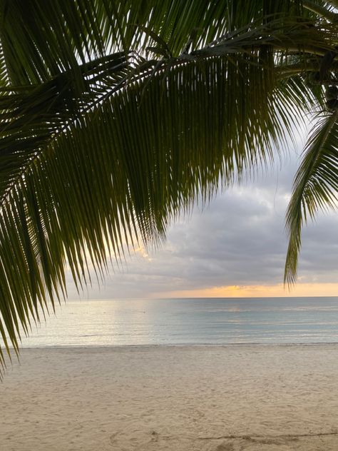 Negril, Jamaica sunset on the beach 🐚🌊 Jamaica Beach Aesthetic, Jamaica Sunset, Jamaica Aesthetic, Jamaica Beach, Jamaica Beaches, Summer Aesthetics, Sunset On The Beach, Negril Jamaica, Jamaica Travel