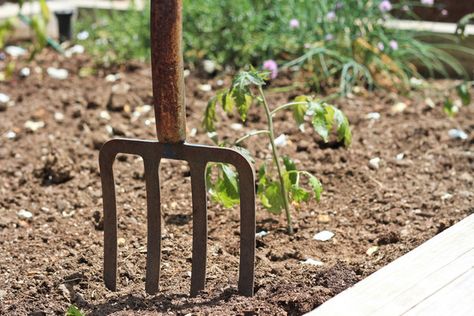 Pitch fork and Garden Pitch Fork, Pitch Forks, Gardening Fork, Forks, Garden Tools, Garden Ideas, Farmer, Outdoor Structures, Green