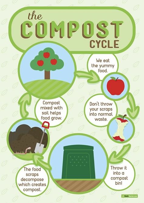 A poster when students are learning about composting Composting Activities For Preschoolers, Vermicomposting Poster, Compost Poster, 2nd Grade Science Projects, Recycling Activities For Kids, Recycling Lessons, Composting Ideas, Cycle Poster, Cycle For Kids