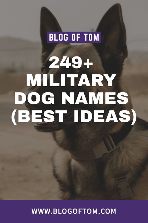 In this article, we’ve compiled an extensive list of 249+ military dog names that encompass the best, good, unique, cute, and badass ideas. Service Dog Names, Powerful Dog Names, Strong Dog Names Male, Female Dog Names List, Male Dog Names List, Male Dog Names Unique, Strong Dog Names, Female Pet Names, German Dog Names