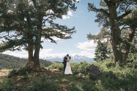 The Wedding Tree Wyoming, Wyoming Elopement, Wyoming Wedding, Wyoming Weddings, Wedding Tree, Outdoor Elopement, Lake Tahoe Weddings, Park Elopement, Tahoe Wedding