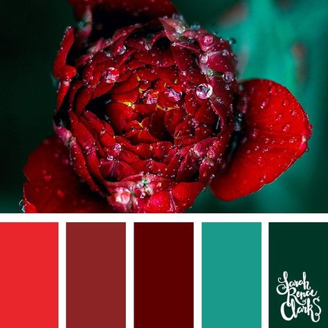 Teal Color Palette, Teal Color Schemes, Classic Color Palette, Opposite Colors, Color Catalog, Spring Color Palette, Red Color Schemes, Red Colour Palette, Color Schemes Colour Palettes