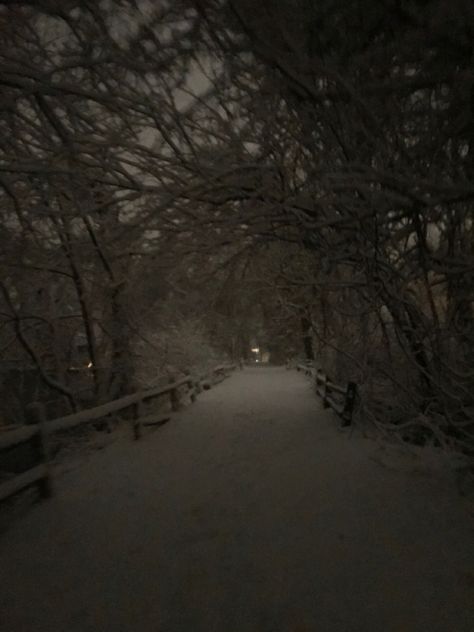 Night Snowing Aesthetic, Liminal Snow Aesthetic, Grey Hour Snow, Snowing At Night Aesthetic, Snowy Woods Night, Winter At Night Aesthetic, Snow Pics At Night, Gray Hour Winter, Dark Snowy Night Aesthetic