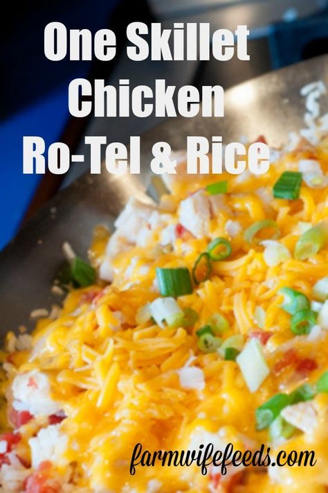 Rotel With Chicken, Chicken Rice Rotel Casserole, Chicken Rotel Rice Recipes, Rotel Chicken Recipes, Rice And Rotel Recipes, Chicken And Rice Skillet Easy, Rotel Chicken And Rice, Electric Skillet Recipes Chicken, Rotel And Chicken Recipes