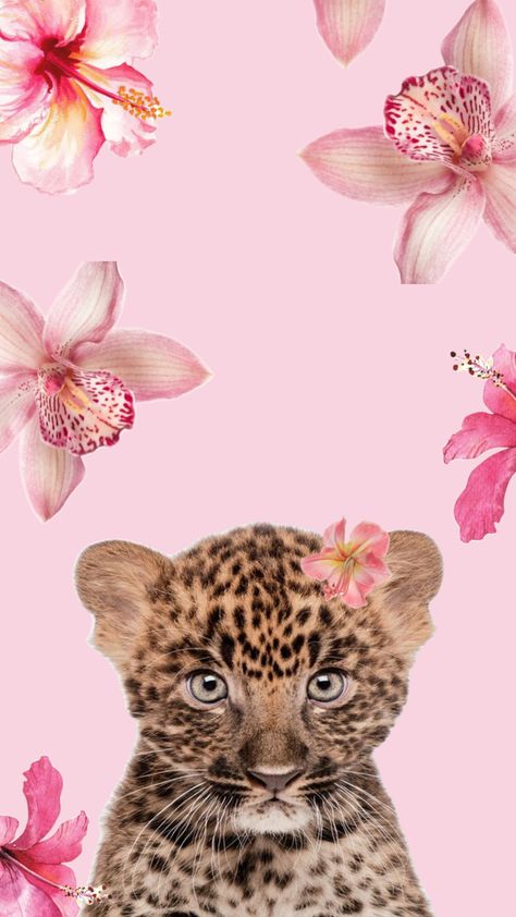 Pink Leopard Wallpaper, Glamour Wallpaper, Cheetah Background, Cheetah Print Wallpaper, Cracked Wallpaper, Iphone Wallpaper Cat, Cute Summer Wallpapers, Simple Iphone Wallpaper, Iphone Wallpaper Photos