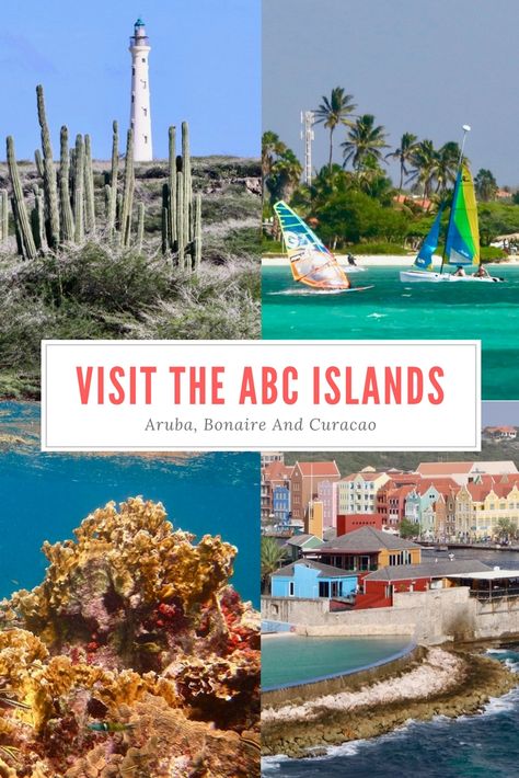 Plan a #cruise to the #SouthernCaribbean and visit the #ABCislands of #Aruba, #Bonaire and #Curacao! Abc Islands Cruise, Bonaire Island, Aruba Cruise, Abc Islands, Caribbean Islands Vacation, Southern Caribbean Cruise, Curacao Island, Travel Caribbean, Cruise Ports