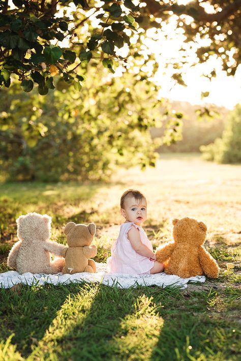 1st Birthday Picnic Photoshoot, Photo Minis Ideas, Photoshoot For 1 Year Baby, Outdoor Sitter Session, First Birthday Session, Apple Milk Bath Photos, Teddy Bear Picnic Photo Shoot, Dinosaur Baby Photo Shoot, Baby Boy First Birthday Photo Shoot Outdoor