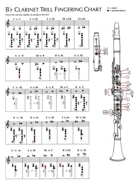 How To Play Clarinet, Bb Instrument Sheet Music, Clarinet Fingering Chart, Alto Saxophone Sheet Music, Clarinet Music, Clarinet Sheet Music, Clarinets, Saxophone Sheet Music, Flute Sheet Music