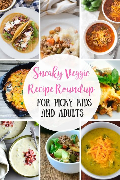 Recipes For Veggie Haters, Veggie Meals For Picky Eaters, Hidden Vegetable Recipes Dinners, 2b Mindset Recipes Dinner Easy, Hidden Veggie Recipes Picky Eaters, How To Add Veggies To Kids Meals, Dinner With Hidden Veggies, Sneaky Veggie Recipes For Kids, Hidden Veggie Dinner