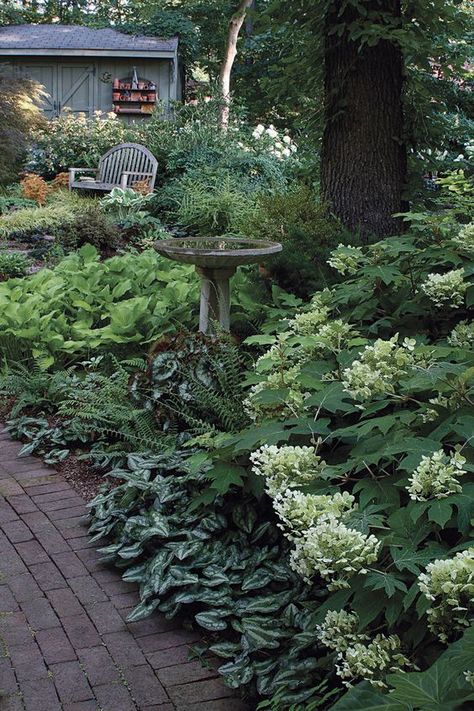 Dealing With Dry Shade - FineGardening Shade Garden Design, Japanese Garden Landscape, Pathway Landscaping, Shade Garden Plants, Backyard Vegetable Gardens, Vegetable Garden Design, Garden Pathway, Woodland Garden, Side Yard