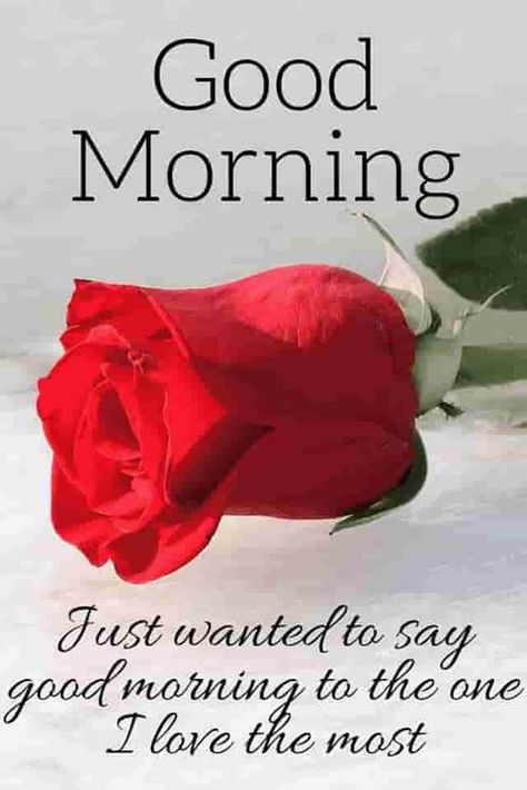 42 Good Morning My Love Quotes images Love Messages 3 Tagore Quotes, Weekly Blessings, Good Morning For Him, Romantic Good Morning Quotes, Latest Good Morning Images, Sending Prayers, Love Good Morning Quotes, Good Morning Quotes For Him, God Natt