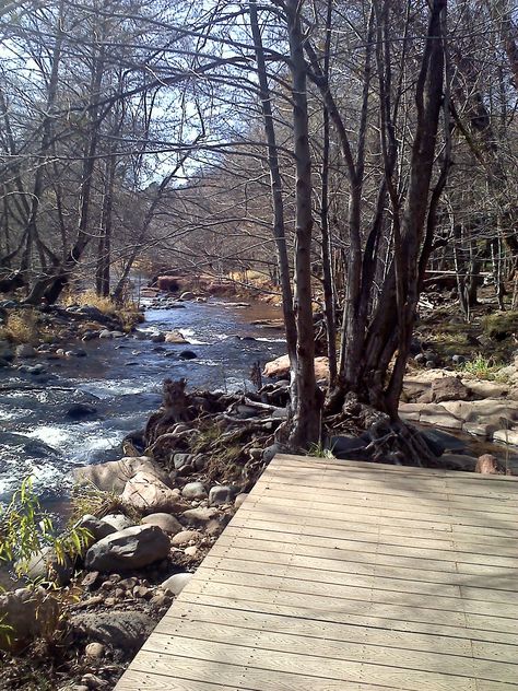 Lakefront Deck Ideas, Creek Dock, Creekside Landscaping, Mulch Landscaping, Hillside Landscaping, Lawn Sprinklers, Home Landscaping, River House, Diy Landscaping