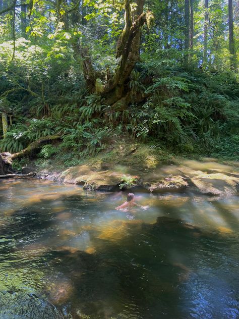 River Fairy Aesthetic, Fairy Summer Aesthetic, Pond Swimming Aesthetic, River Mermaid Aesthetic, Swimming Lake Aesthetic, Aesthetic River Pictures, Ponds Aesthetic, Forest River Aesthetic, Backyard River