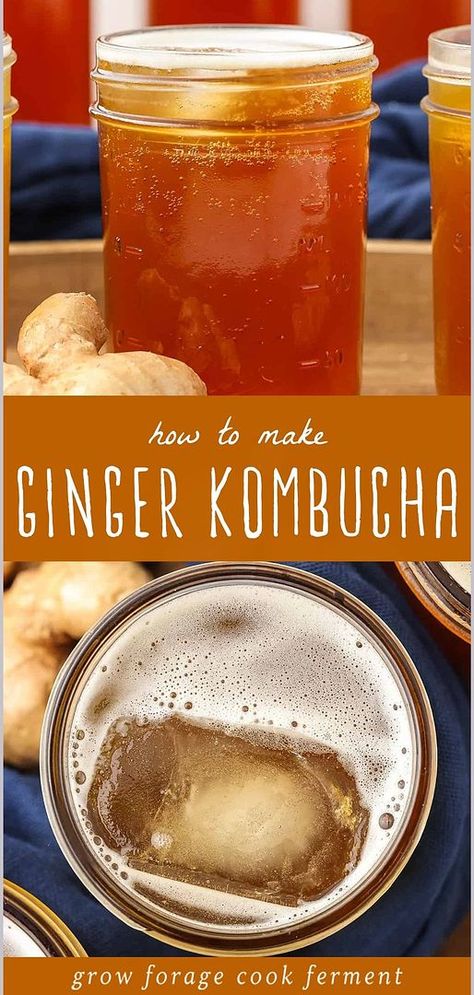 Discover How to Make Ginger Kombucha with our guide from Fermented Soda Recipes & Kombucha. This simple second ferment process results in a fizzy and flavorful probiotic drink that's easy to assemble. Perfect for those new to fermentation or looking for gut-healthy beverages. Dive into the world of homemade kombucha and explore more kombucha flavors today. Find more at growforagecookferment.com Second Ferment Kombucha, Ginger Kombucha Recipe, Barista Basics, Fermented Soda, Kombucha Flavors Recipes, Healthy Drink Recipes, Ginger Kombucha, Best Kombucha, Ginger Soda