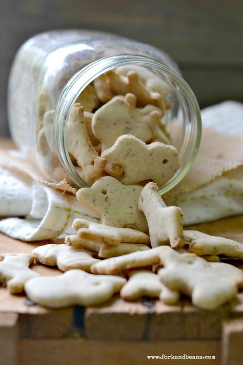 Homemade Animal Crackers (gluten, egg, and dairy-free) - Fork & Beans Homemade Animal Crackers, Animal Cracker, Animal Crackers, Gluten Free Snacks, Kids Food, Vegan Cookies, Gluten Free Cookies, Thought Process, Allergy Friendly