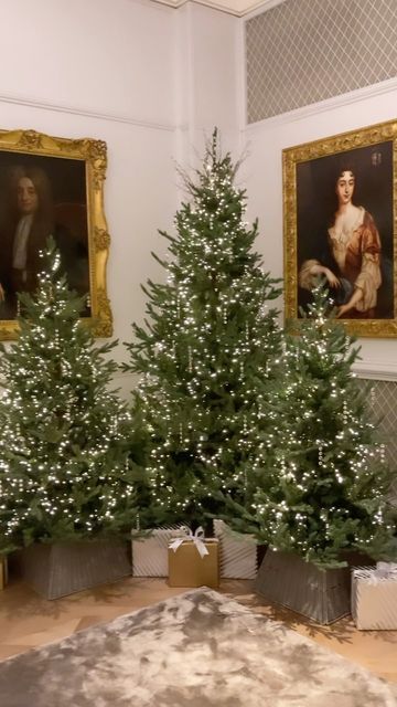 Trio Of Christmas Trees, Multiple Christmas Trees In Home, 3 Christmas Trees Together, Multiple Christmas Trees, Christmas Tree Trio, David Dawson, Xmas 2024, Christmas Inspo, Christmas 2022