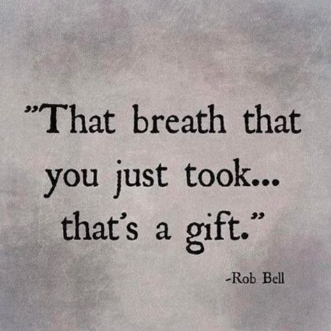 Grateful  We are so blessed just to be here and alive. I think sometimes people take that for granted . Life is a gift  #Thankful Rob Bell, Spirit Science, Motiverende Quotes, Gratitude Quotes, A Quote, Note To Self, The Words, Great Quotes, Beautiful Words