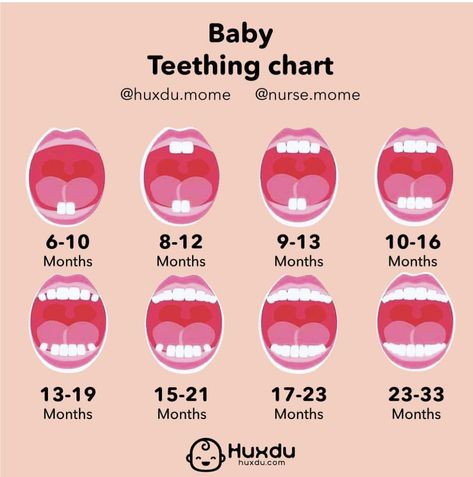 Baby Teeth Chart, Baby Teething Chart, Teeth Chart, Teething Chart, Note Tips, Baby Chart, Baby Information, Baby Help, Newborn Baby Tips