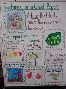 This anchor chart, best for K–2, is made relevant with examples of student work, in this case a fantastic ladybug report. Keep this chart relevant by updating the examples with student work throughout the year. In kindergarten, this will also showcase how students move from prewriting and pictures to writing words and sentences. Writing Reports, Lucy Calkins, Primary English, Classroom Anchor Charts, 2nd Grade Writing, Expository Writing, Book Reports, Writing Anchor Charts, 1st Grade Writing