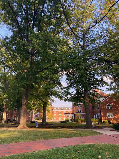 east green is so pretty at ohio university Miami Of Ohio Aesthetic, Ohio University Aesthetic, Ohio State University Aesthetic, Ohio Aesthetic, Campus Drivers, Miami University Ohio, Miami Ohio, November Mood, College Necessities