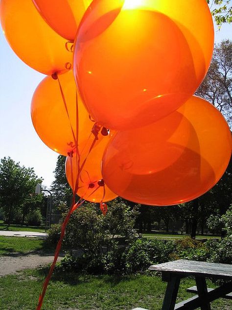 Orange balloons | by pdinnen All Things Orange, Orange Inspiration, Orange Things, Aesthetic Orange, Orange Balloons, Repurposed Art, Orange Walls, Rainbow Aesthetic, Orange You Glad