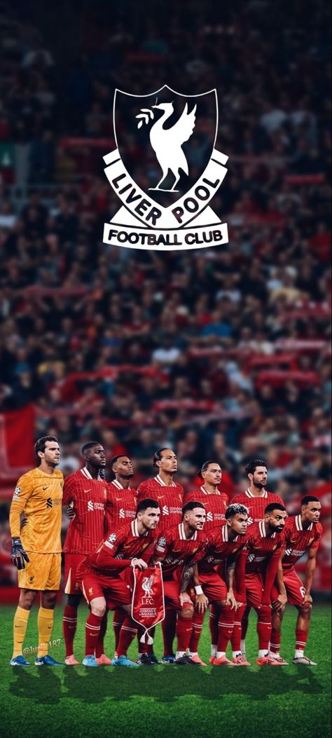 Liverpool Phone Wallpaper, Iphone Wallpaper Liverpool, Liverpool Wallpaper, Liverpool Stadium, Liverpool Poster, Liverpool Logo, Soccer Men, Liverpool Team, Liverpool Wallpapers