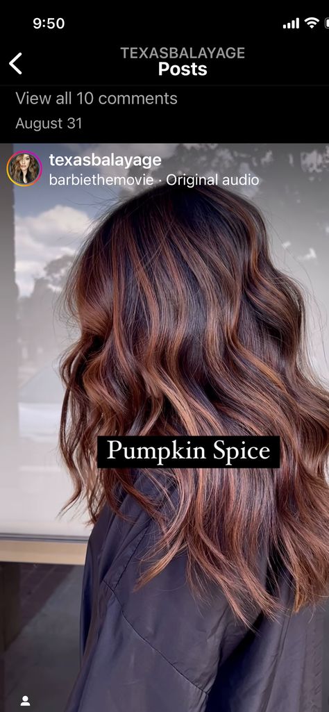 Brunette Colors For Fall, Fall Style Hair Color, Dark With Copper Highlights, Warmer Hair Colors, Fall Inspired Balayage, Fun Easy Hair Color Ideas, Caramel And Auburn Balayage, Blonde To Chestnut Brown Hair, Fall Hair Color Long Hair