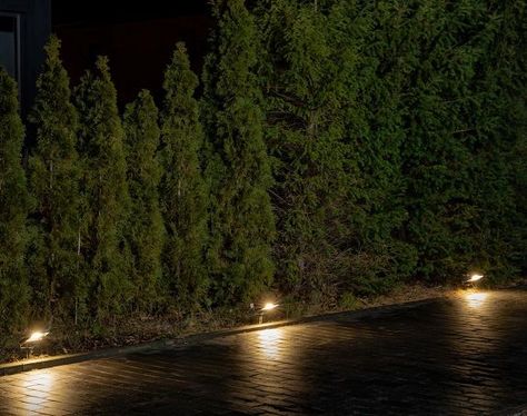 In search for outdoor lighting solutions? There are numerous reasons why you should switch to LED lighting, both indoors and outdoors. 🔦 Outdoor Flood Lights, Old Lights, Led Flood Lights, Outdoor Light Fixtures, Flood Light, Sustainable Lifestyle, Flood Lights, Landscape Lighting, Outdoor Areas