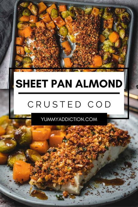 Easy cleanup and low-stress cooking are just a few of the many benefits of this almond crusted cod sheet pan dinner. Caramelized winter vegetables, tender baked cod with a crunchy nut crust, and a delicious drizzle of sweet and tangy balsamic sauce make a satisfying dinner, all on one baking sheet. #sheetpan #cod #dinner #fish #brusselssprouts #butternutsquash Paleo Cod Recipes, Almond Crusted Fish, Cod Dinner, Brussels Sprouts And Butternut Squash, Balsamic Vegetables, Easy Fish Dinners, Crusted Cod, Evening Food, Dinner Fish