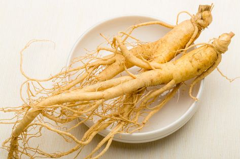 Ginseng. Fresh Ginseng root stick on the white , #affiliate, #Fresh, #Ginseng, #root, #white, #stick #ad American Ginseng, Organic Diet, Stomach Issues, Growth Serum, Pharmacology, Natural Home Remedies, Youthful Skin, Natural Home, Blood Sugar