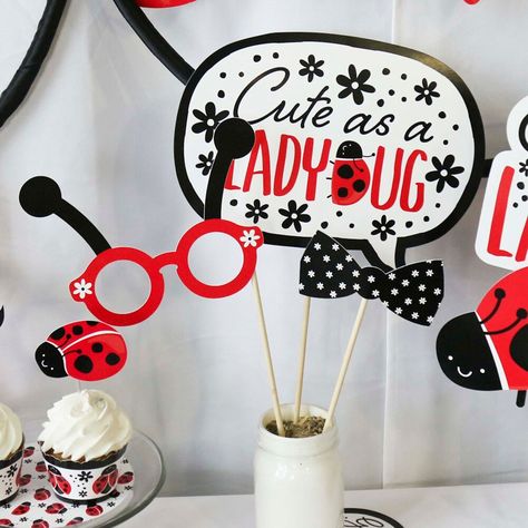 Ladybug Centerpieces, Ladybug Party Decorations, Birthday Party Photo Booth, Birthday Photo Booth, Whimsical Birthday, Diy Photo Booth Props, Ladybug Baby Shower, Ladybug Baby, Party Photo Booth Props