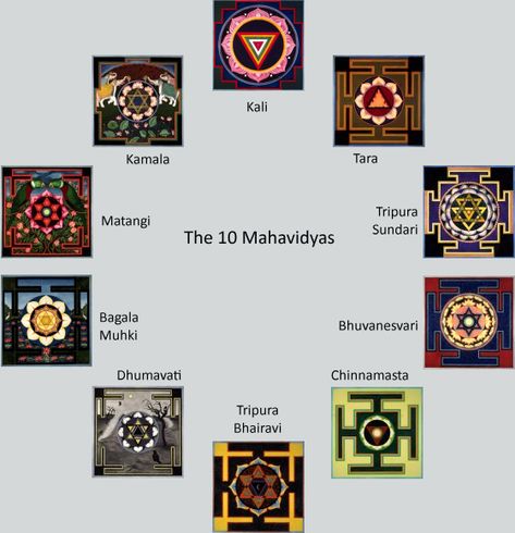 The Ten Mahavidyas | Greenleaf Yantras Mahavidyas Goddesses, Ten Mahavidyas, 10 Mahavidya, Kali Yantra, Karthika Masam, Sacred Geometric Pattern, Durga Mantra, Tantra Art, Shri Yantra