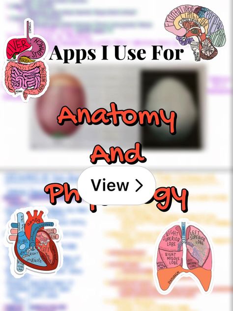 Lemon8 · Best Apps For Studying Anatomy and Physiology 🫀 · @Schiann_ Best Anatomy And Physiology Apps, Apps For Anatomy, Nursing School Apps, College Anatomy And Physiology Notes, Nursing Anatomy And Physiology, Anatomy And Physiology Study Printables, Anatomy And Physiology Notes Study, Pathology Aesthetic, Anatomy Apps