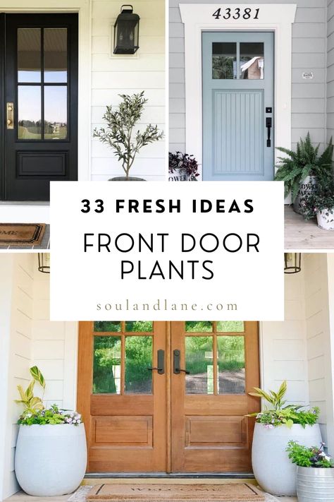 Transform your home's entrance into a welcoming oasis with the perfect front door plants. This guide will help you navigate through the best options for adding greenery to your doorstep, catering to various light conditions and maintenance levels. From elegant topiaries to casual potted arrangements, explore how to use plants to enhance your home's curb appeal and create an inviting atmosphere for guests. Get tips on maintaining your front door plants throughout the seasons, ensuring they remain Front Door Pots Plants Entrance, Front Door Pots, Front Door Planter, Double Wood Front Doors, Green Bushes, Front Door Plants, Front Door Planters, Hydrangea Potted, White Front Door