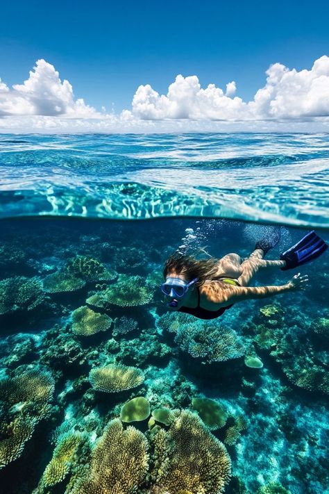 Dive into the Great Barrier Reef in Australia🌊 Summer is a great time to explore the Great Barrier Reef. Enjoy snorkeling and diving to see vibrant coral reefs and marine life. 🌿🐠 #GreatBarrierReef #SummerTravel #Australia #MarineLife Coral Reef Diving, Great Barrier Reef Snorkeling, Vision Board Design, Great Barrier Reef Australia, Ocean Wonders, Barrier Reef Australia, The Great Barrier Reef, Coral Reefs, Marine Biology