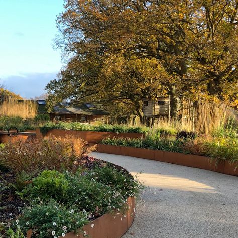 Steel Edging Landscape, Steel Garden Edging, Lighting Landscape, Australian Native Garden, Metal Edging, Landscape Edging, Lawn Edging, Native Garden, Garden Edging