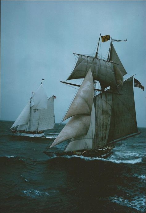 Sailors Aesthetic, Sailor Aesthetic, Nautical Aesthetic, Naval Architecture, Sailing Vessel, Dungeons And Dragons Homebrew, Watercraft, Tall Ships, Architecture Photo