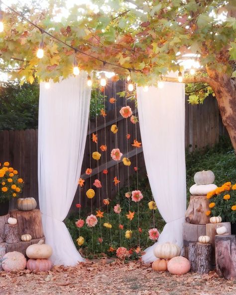 Outdoor Fall Photo Booth Ideas, Outdoor Party Photo Backdrop, Friendsgiving Photo Backdrop Ideas, Harvest Party Photo Booth, Fall Photo Prop Ideas, Fall Selfie Station, Outdoor Sweet 16 Party Ideas Fall, Fall Fest Photo Booth Ideas, October Sweet 16 Party Ideas