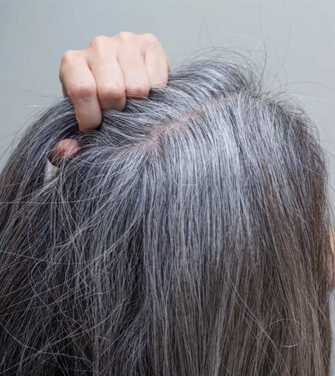 How To Soften Coarse Gray Hair Soften Gray Hair, Grey Hair Home Remedies, Brighten Gray Hair, Gray Hair Solutions, Grey Hair Remedies, Hair Lights, Prevent Grey Hair, Premature Grey Hair, Reverse Gray Hair