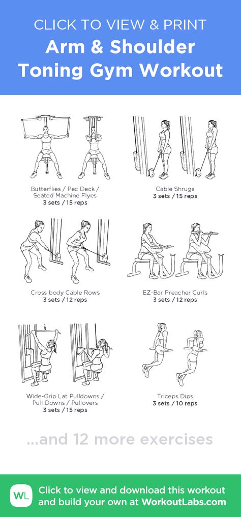 Toning Workout Plan, Back Of Arm Exercises, Shoulder And Arm Workout, Arm Workout Gym, Shoulder Gym, Arm Toning Exercises, Workout Labs, Fitness Studio Training, Tone Arms Workout