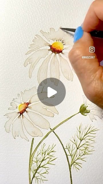 Nadia Sacchetto’s Watercolor Art on Instagram: "Welcome back summer daisies 🌼
Happy Thursday Friends. 
Welcome to all my new followers. 

🌼💛🌼💛🌼💛🌼💛🌼

Artist 👩‍🎨 - follow me for more @nadz1967 
Paints @winsorandnewton 
Paper @artnfly 
Brushes @silverbrushltd sizes 0,2,and 6

🌼💛🌼💛🌼💛🌼💛🌼

🌼💛

🌼💛

🌼💛

🌼💛

🌼💛

#weekend 
#repost 
#daisy 
#new #chill 
#weekend 
#weekendvibes 
#mood 
#motivation 
#motivateothers 
#inspire 
#inspiredaily 
#dailyart 
#dailyinspiration 
#daily 
#design #watercolour 
#artist 
#artoftheday 
#artistsoninstagram 
#paintingoftheday 
#paintingforsale 
#watercolorforbeginners 
#artgallery #artreelsforinstagram #instaart #instagood #instamood #reels #reelsinstagram" Daisy Flower Watercolor, Watercolor Daisy Tutorial, Painting Flowers Watercolor, Daisy Watercolor, Watercolor Daisy, Whimsical Art Journal, Painting Flowers Tutorial, Easy Flower Painting, Learn Watercolor Painting