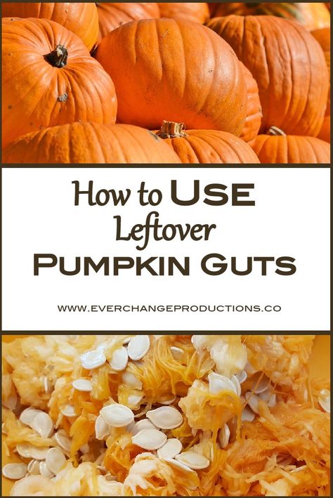 Don't throw out the leftover pumpkin guts. Check out these ways to use pumpkin seeds, pumpkin pulp and pumpkin shell after all the holiday festivities and holiday recipes are over! Uses For Pumpkin Guts, Recipes Using Pumpkin Guts, What To Do With Pumpkins After Halloween, What To Make With Pumpkin Guts, How To Use Pumpkin Guts, Pumpkin Carving Recipes, What To Do With Pumpkin Guts, Real Pumpkin Recipes, Pumpkin Guts Recipe