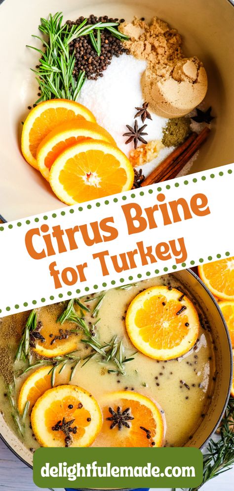 Apple Cider Turkey Brine, Apple Cider Turkey, Best Turkey Brine, Easy Turkey Brine, Turkey Brine Recipe, Citrus Turkey, Turkey Brine Recipes, Turkey Brine, Brine Recipe