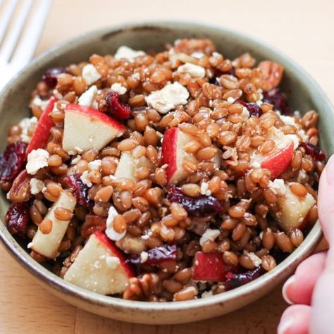 Sprouted Wheat Berry Salad with Apple, Cranberry and feta - Second Spring Ancient Grain Bread Recipe, Ancient Grains Bread, Sprouted Wheat, Wheat Berry Salad, Wheat Berry, Bulgar Wheat, Berry Salad, Cranberry Cheese, Grain Salad