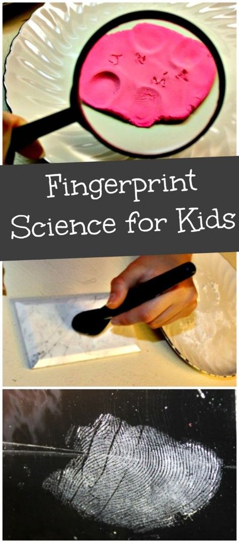 Fingerprint Science, Detective Activity, Science Camp, Science Club, Science Activity, Kid Experiments, Science Activities For Kids, Fair Projects, Stem Projects