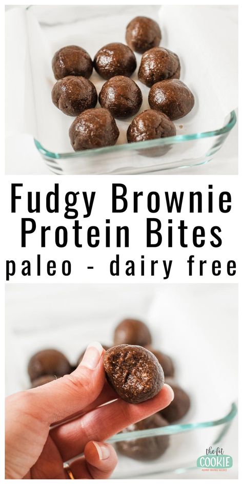 Add more protein to your snack with these yummy Fudgy Brownie Protein Bites! These chocolate protein balls are gluten free, dairy free, peanut free, paleo, and are easy to make! | thefitcookie.com #paleo #proteinbites #dairyfree #peanutfree Thm Protein Bites, Paleo Protein Balls, Chocolate Protein Bites, Energy Bite, Chocolate Protein Balls, Dairy Free Protein, Protein Balls Recipes, Protein Bars Homemade, Dairy Free Cookies