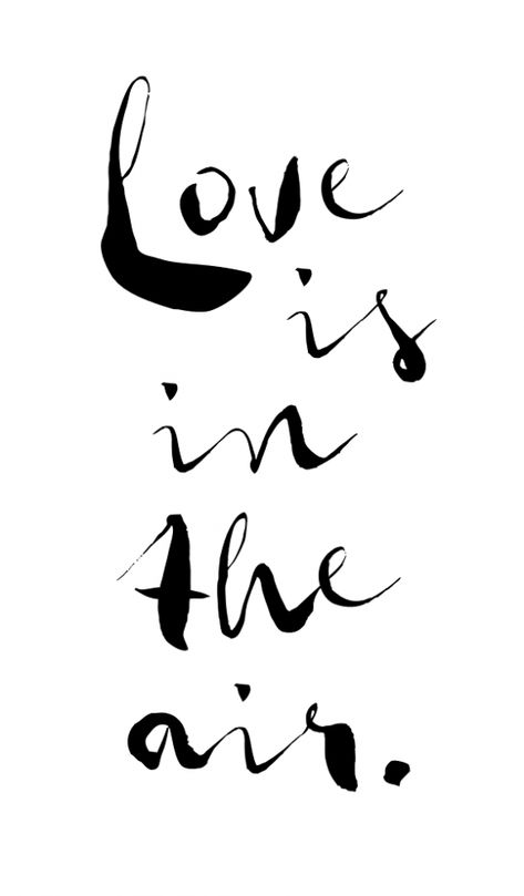 Air Graphic, Air Quotes, Words Love, Calligraphy Design, Love Is In The Air, Wonderful Words, All You Need Is Love, Be My Valentine, Love Letters