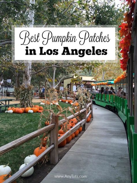 Best Pumpkin Patches in Los Angeles & Orange County in California. November Events, Best Pumpkin Patches, California Christmas, Pumpkin Patches, Best Pumpkin, Autumn Activities, Train Rides, California Travel, Event Calendar