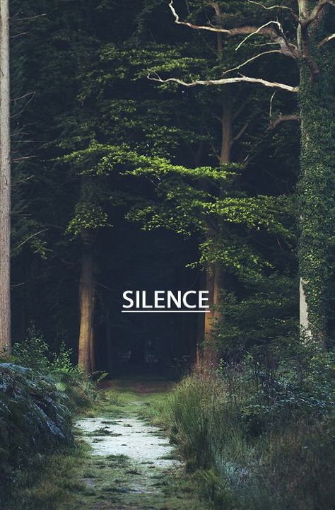 Silence// Matka Natura, Belle Nature, Green Gables, Alam Yang Indah, Enchanted Forest, Belle Photo, Nature Beauty, Beautiful World, Dark Fantasy