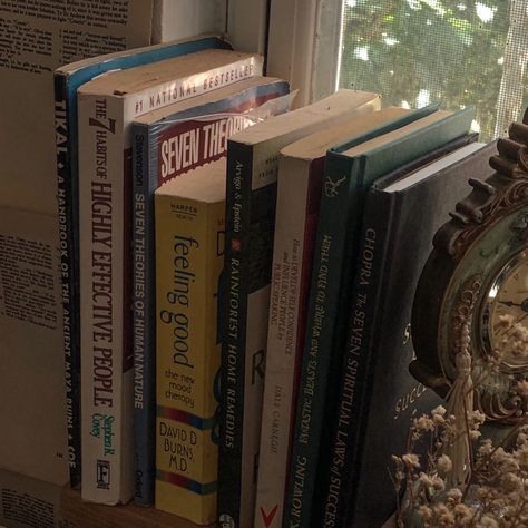 Books On Windowsill, Windowsill Bookshelf, Page Wall, Wall Bookshelf, Maya Ruins, Highly Effective People, Ancient Maya, Wall Bookshelves, Phone Ideas